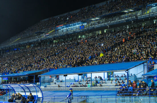 maksimir