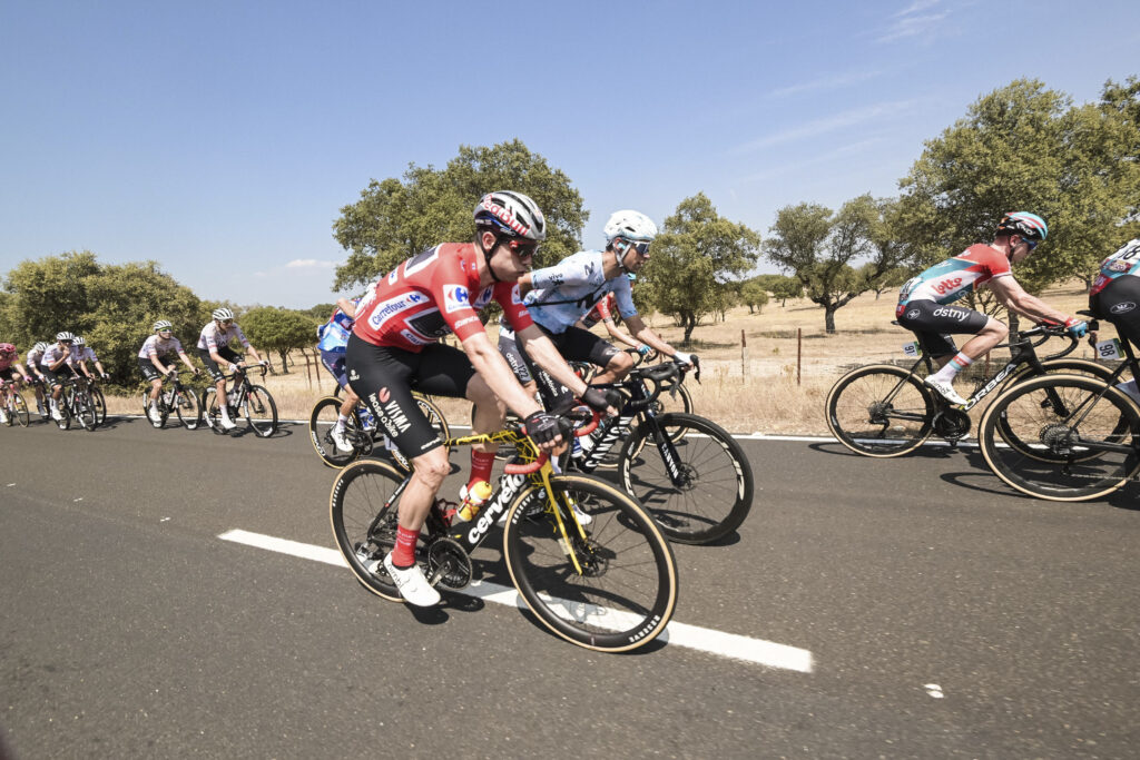 Wout van Aert