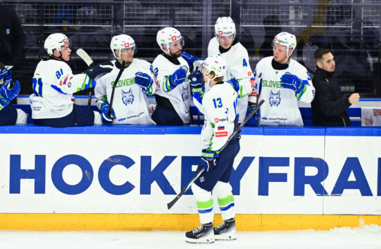 DROZG Jan ( 13 - Slovenia ) celebrates with teammates during the friendly match between France and Slovenia at A