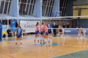 Calcit Volley - GEN-I Volley