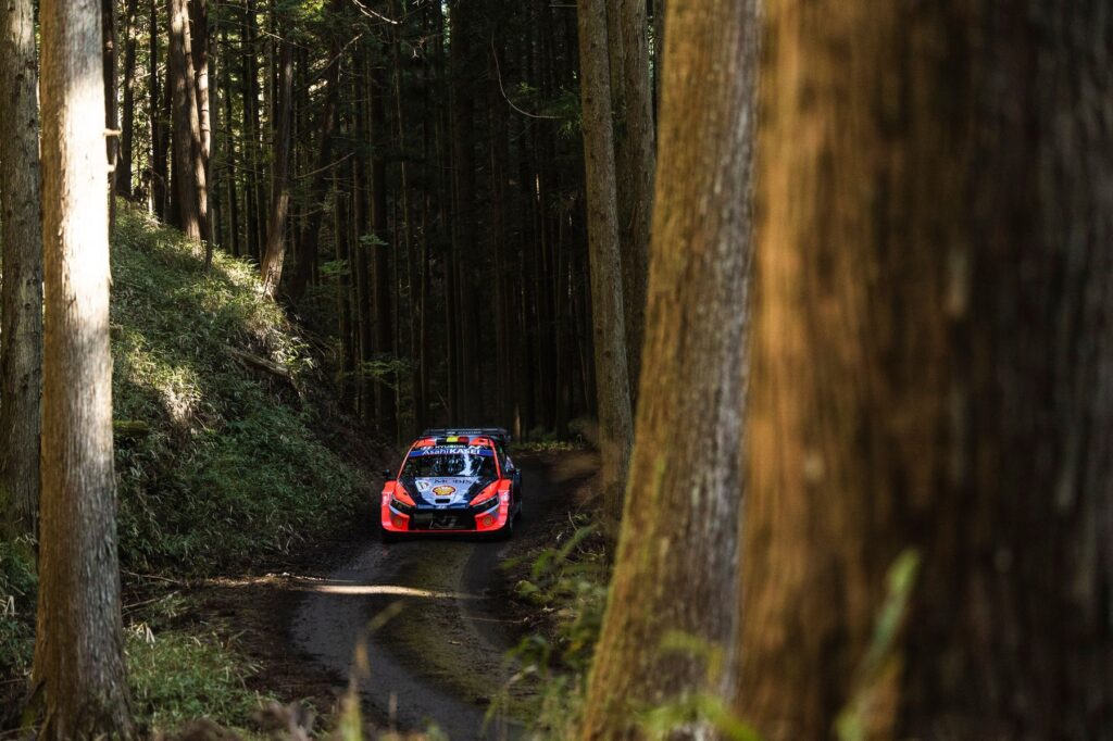 Thierry Neuville