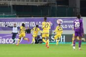 Fiorentina - Udinese