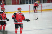 Jesenice Gregor Koblar