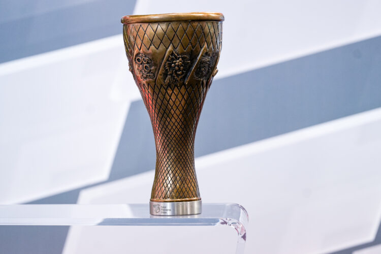 Pokal Pivovarna Union