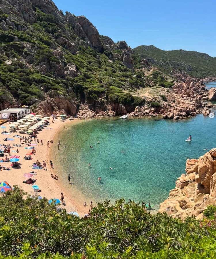 Victor Sanchez del Amo