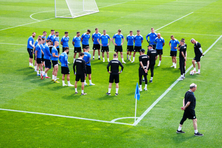 Slovenska nogometna reprezentanca