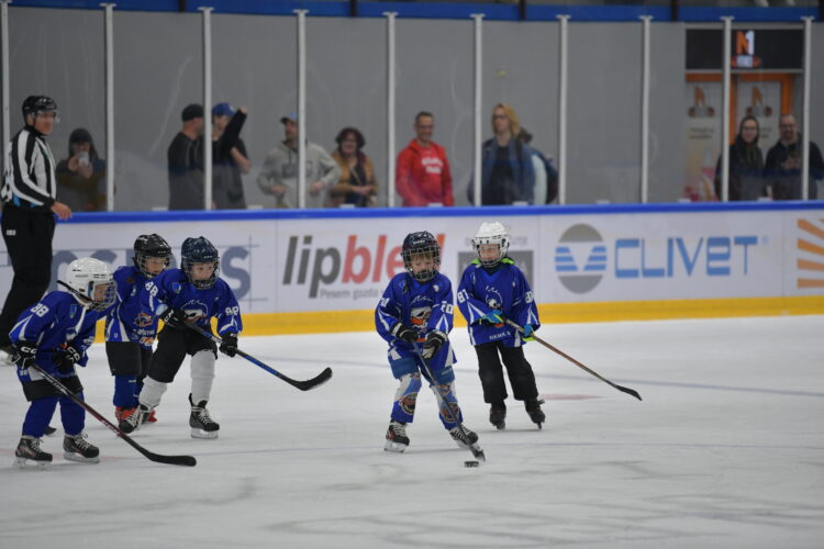 Bled, prenovljena ledena dvorana