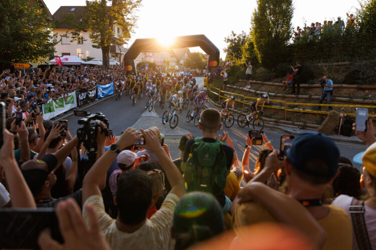 Pokal Tadeja Pogačarja