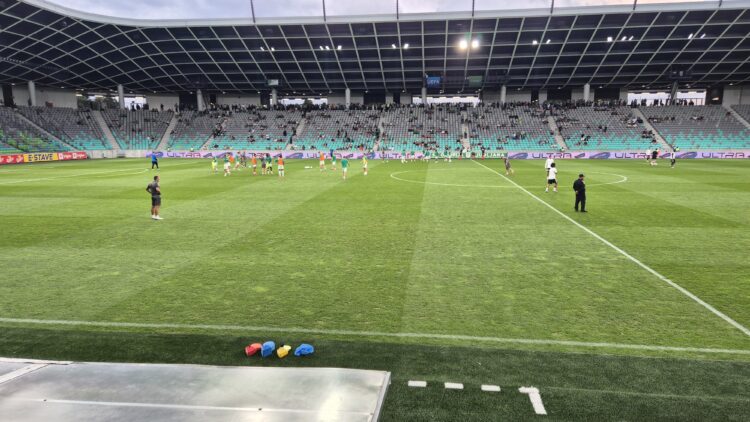 Zelenica v Stožicah