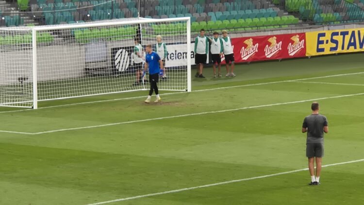 Zelenica v Stožicah