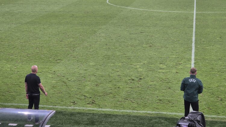 Zelenica v Stožicah