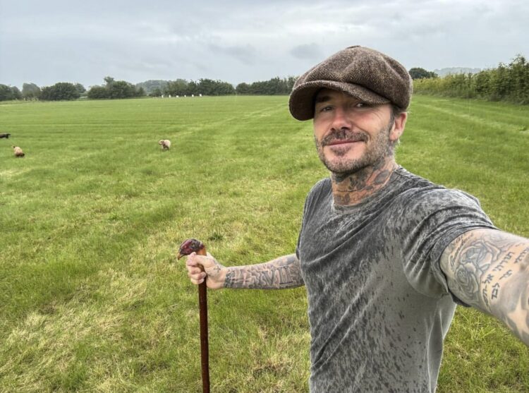 David Beckham on social media