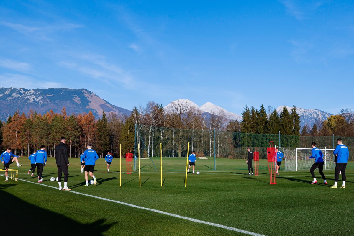 NZS in Zavod za gozdove za obnovo slovenskih gozdov