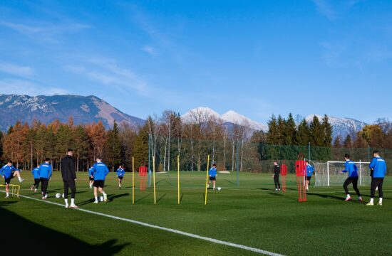 NZS in Zavod za gozdove za obnovo slovenskih gozdov