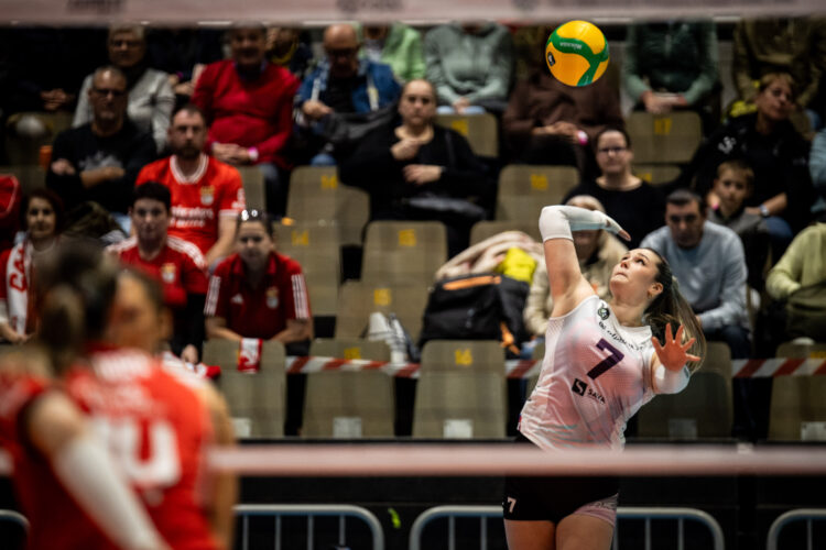 OTP banka Branik Benfica