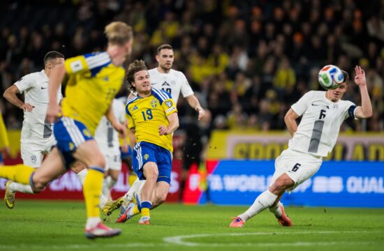 Vrhunci tekme Švedska – Slovenija (VIDEO)