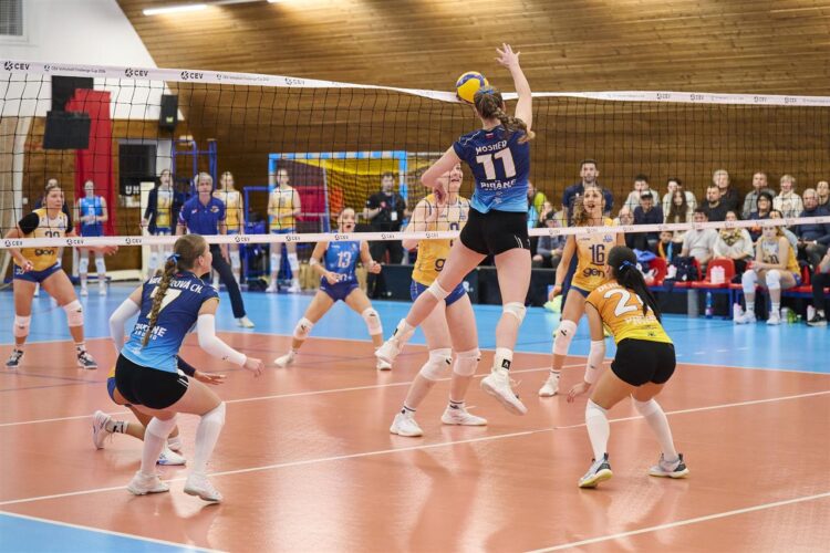 GEN-I Volley - Pirane Brusno