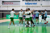 MOK Krka - Calcit Volley