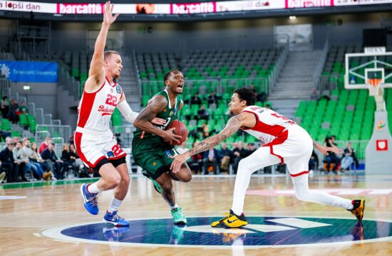 Turki preživeli ljubljanski snežni metež (VIDEO)