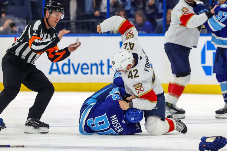 fight NHL