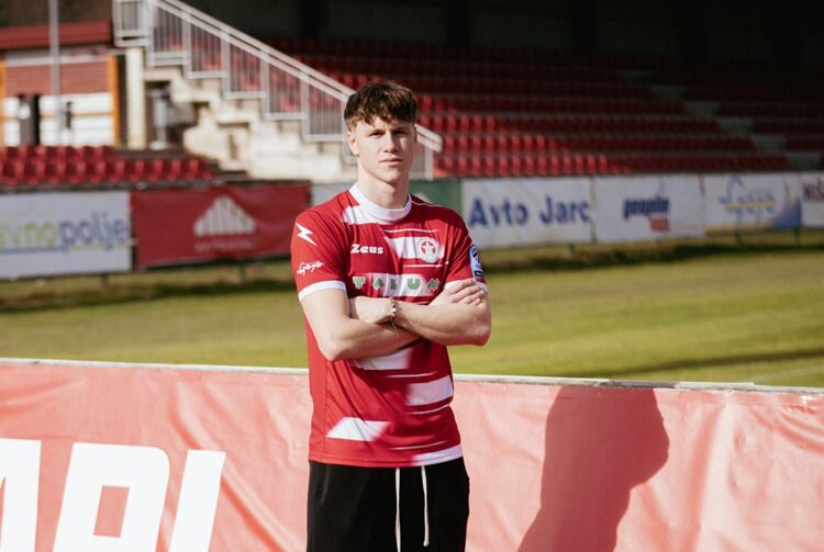 Jaka Tetičkovič Domjan