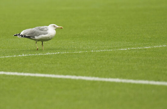 Besiktas v Samsunspor - Turkish Super League