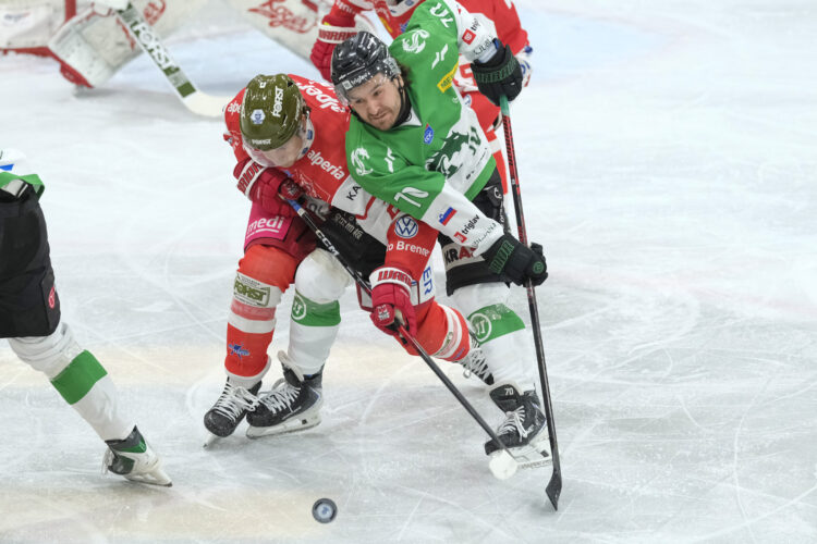 Bolzano - HK Olimpija Ljubljana