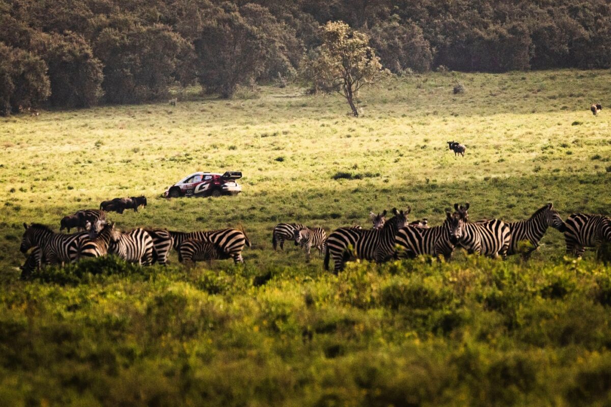 Japonec v Keniji do prve zmage na reliju za SP