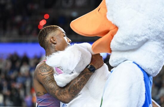 Spet ista zgodba, goske so “izropane”