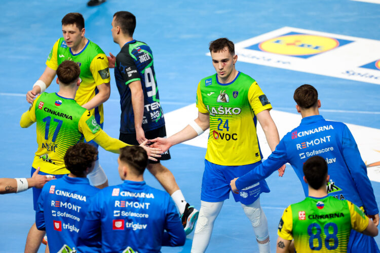 Celje Pivovarna Laško - Trimo Trebnje