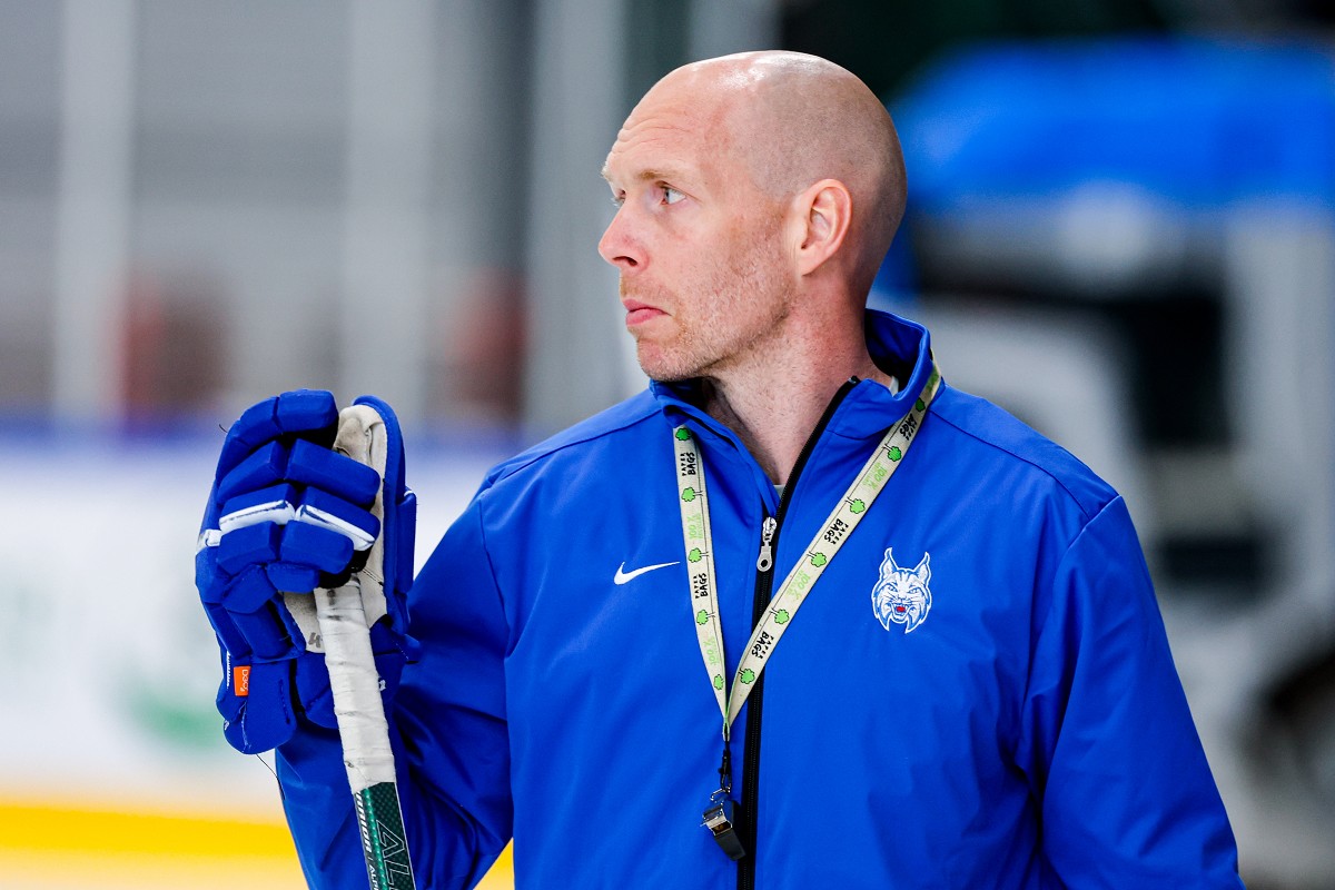 Začasni šef risov: To je luksuz