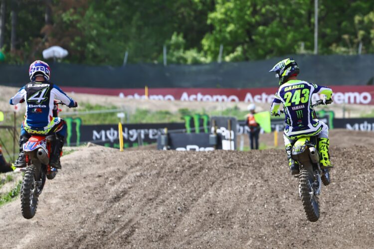 Gajser