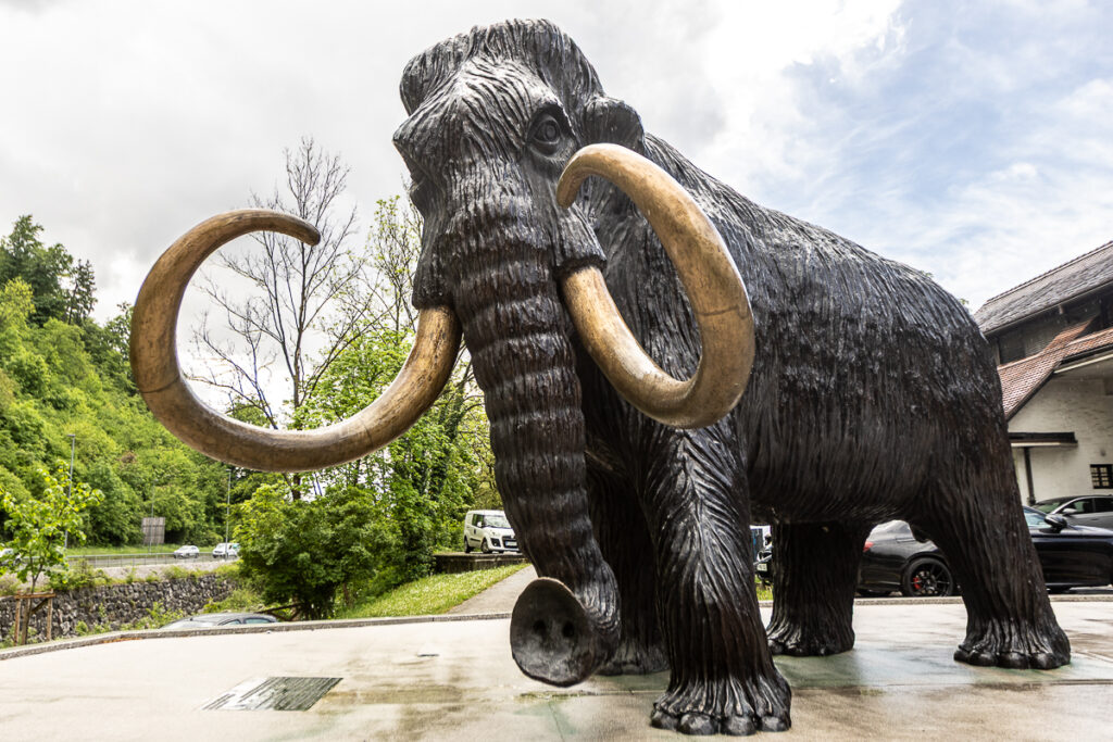 Mamut, Kamnik