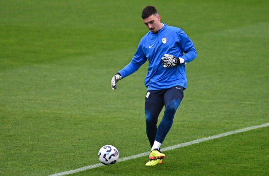 Igor Vekić