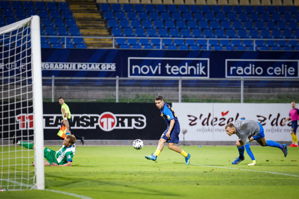Vidovšek
